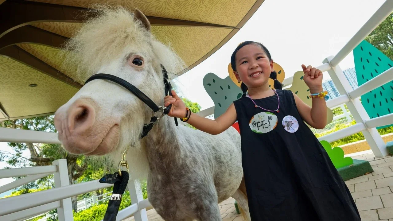 香港赛马会小马世界阵容轮换分析：健康管理与公众体验